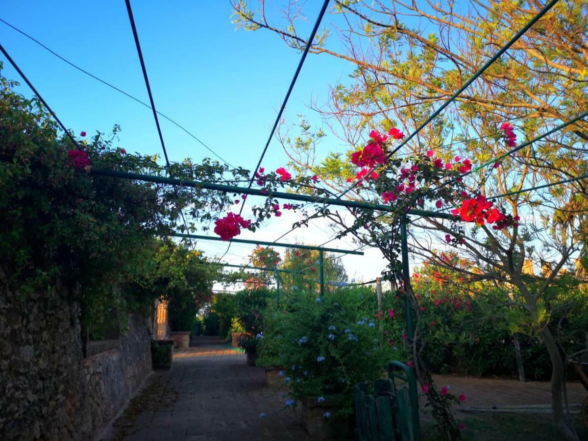 Masseria Provenzani Villa Trepuzzi Ngoại thất bức ảnh
