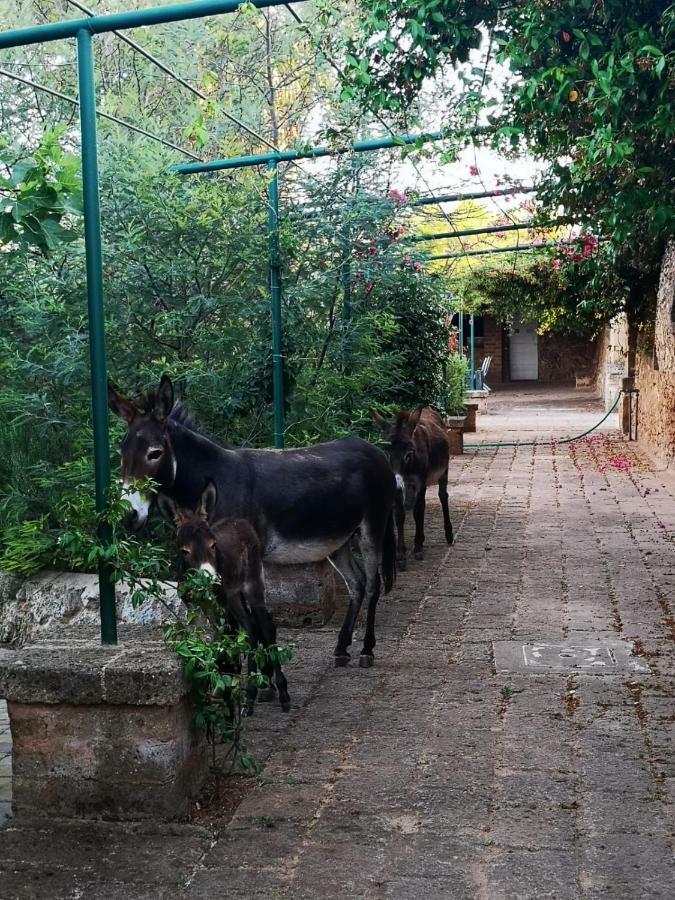 Masseria Provenzani Villa Trepuzzi Ngoại thất bức ảnh