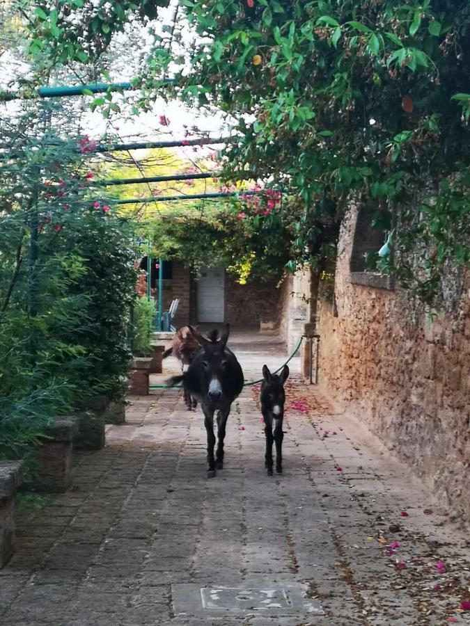 Masseria Provenzani Villa Trepuzzi Ngoại thất bức ảnh